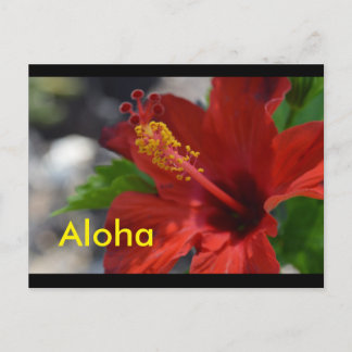 Hawaii Briefkaarten