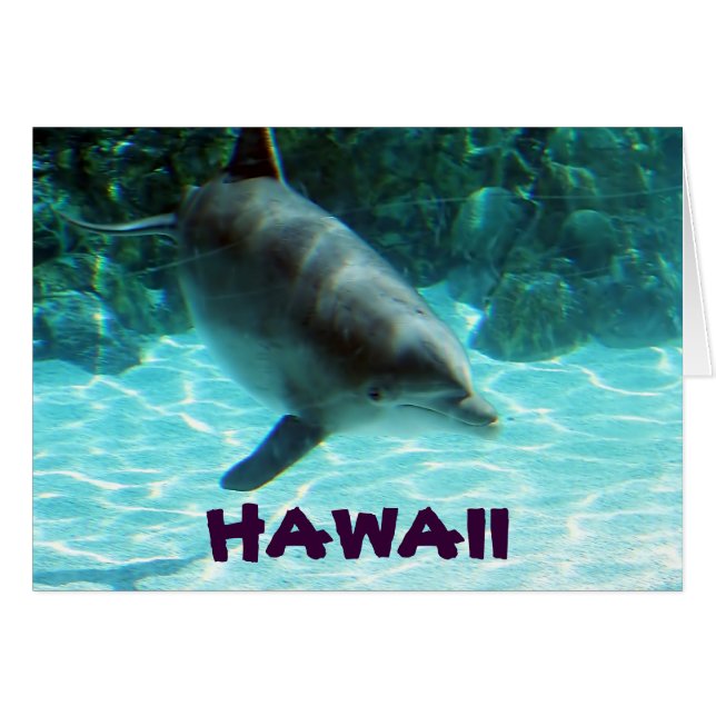 Hawaii Dolphin (Voorkant Horizontaal)
