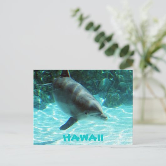 Hawaii Dolphin Briefkaart (Staand voorkant)