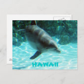 Hawaii Dolphin Briefkaart (Voorkant / Achterkant)