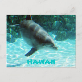 Hawaii Dolphin Briefkaart