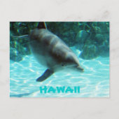 Hawaii Dolphin Briefkaart (Voorkant)