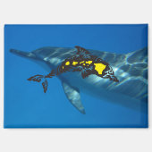 Hawaii Dolphin Islands Magneet (Voorkant)
