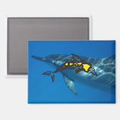 Hawaii Dolphin Islands Magneet (Voorkant / Achterkant)