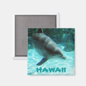 Hawaii Dolphin Magneet (Voorkant / Achterkant)