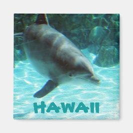 Hawaii Dolphin Magneet
