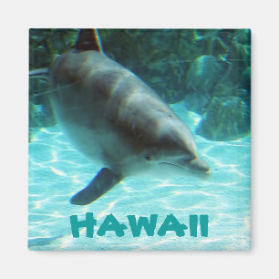 Hawaii Dolphin Magneet
