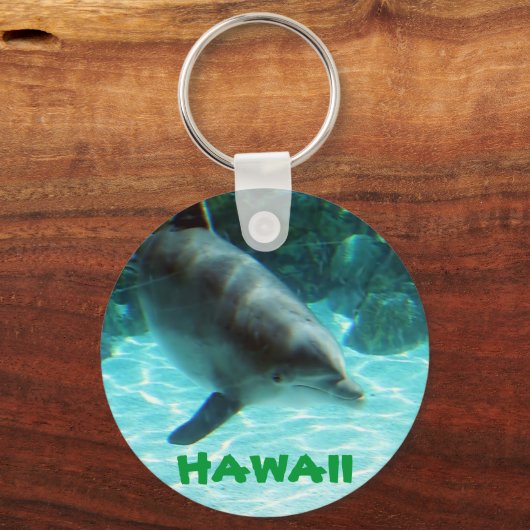 Hawaii Dolphin Sleutelhanger (Voorkant)