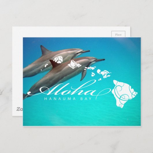 Hawaii Dolphins en Hawaï Briefkaart (Voorkant / Achterkant)