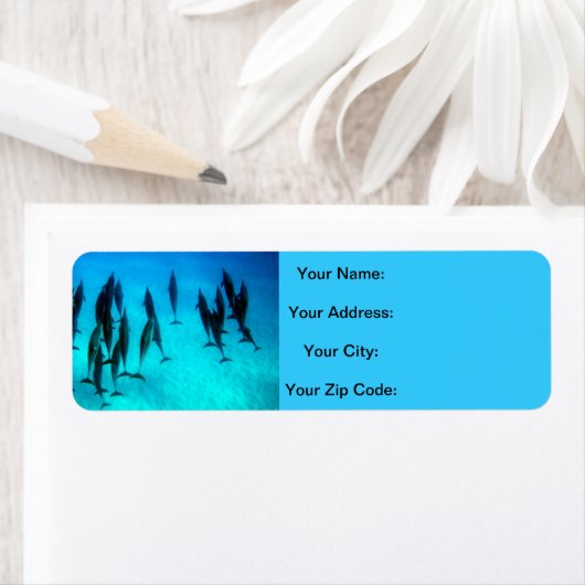 Hawaii Dolphins Etiket (Insitu)