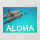 Hawaii Dolphins Post Card Briefkaart (Voorkant)