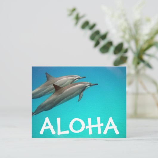 Hawaii Dolphins Post Kaart (Staand voorkant)