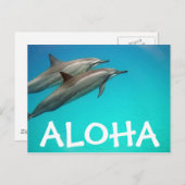 Hawaii Dolphins Post Kaart (Voorkant / Achterkant)