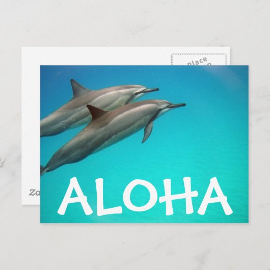 Hawaii Dolphins Post Kaart (Voorkant / Achterkant)