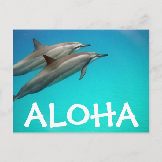 Hawaii Dolphins Post Kaart (Voorkant)