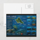Hawaii Duiklocaties Briefkaart (Voorkant / Achterkant)