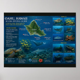 Hawaii Duiklocaties Poster