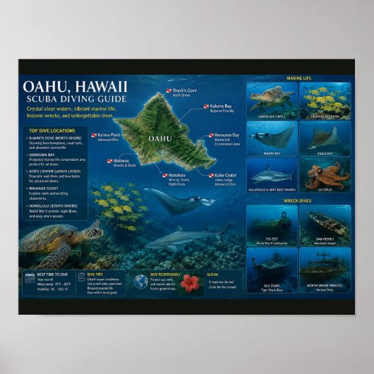 Hawaii Duiklocaties Poster (Voorkant)