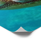 Hawaii-eilanden Zeeschildpad Poster (Hoek)