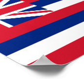 Hawaii Flag Poster (Hoek)