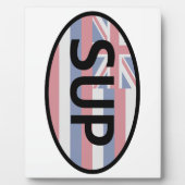 Hawaii Flag Standup Paddling Fotoplaat (Voorkant)