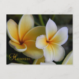 Hawaii Flowers Briefkaart