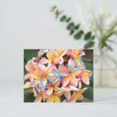 Hawaii Flowers voor iedereen Briefkaart (Staand voorkant)