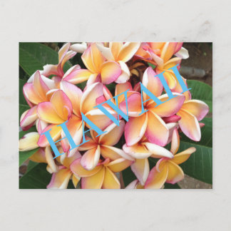 Hawaii Flowers voor iedereen Briefkaart