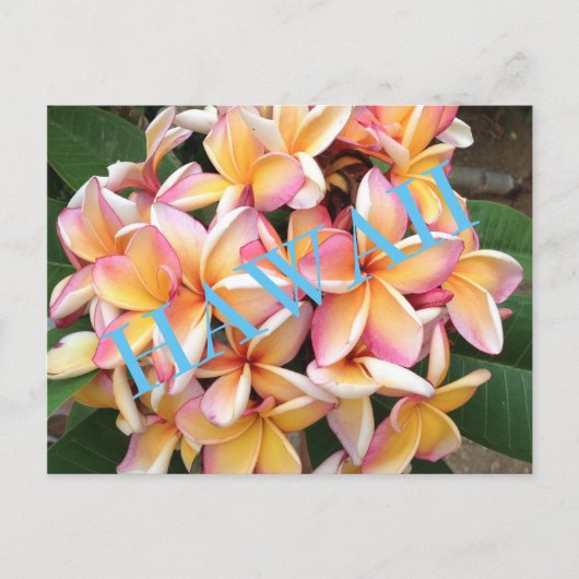 Hawaii Flowers voor iedereen Briefkaart (Voorkant)