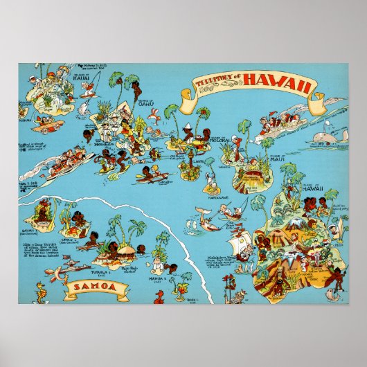 Hawaii Funny Map Poster (Voorkant)