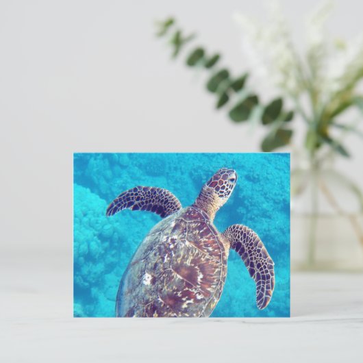 Hawaii Green Zee Turtle Briefkaart (Staand voorkant)