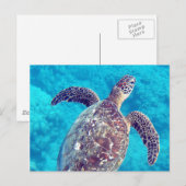 Hawaii Green Zee Turtle Briefkaart (Voorkant / Achterkant)