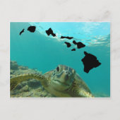 Hawaii Green Zee Turtle Briefkaart (Voorkant)