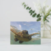 Hawaii Green Zee Turtle Briefkaart (Staand voorkant)