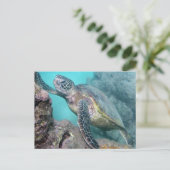 Hawaii Green Zee Turtle Briefkaart (Staand voorkant)