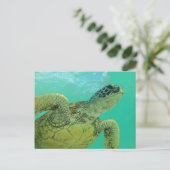 Hawaii Green Zee Turtle Briefkaart (Staand voorkant)