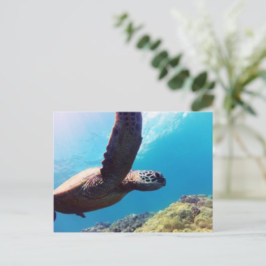 Hawaii Green Zee Turtle Briefkaart (Staand voorkant)