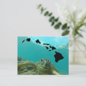 Hawaii Green Zee Turtle Briefkaart (Staand voorkant)