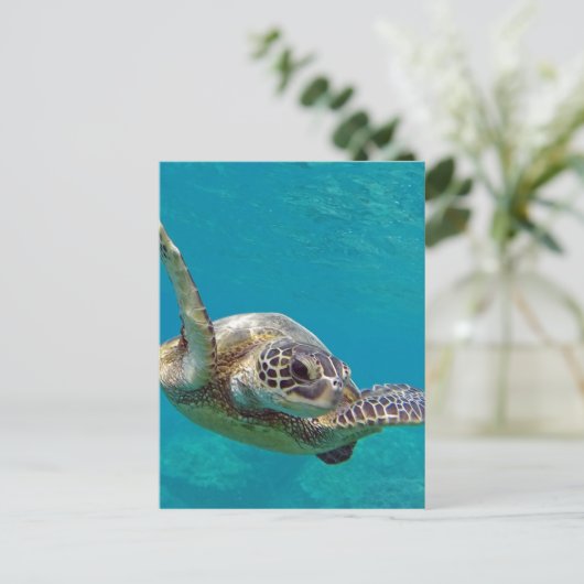 Hawaii Green Zee Turtle - Honu Briefkaart (Staand voorkant)