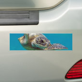 Hawaii Green Zee Turtle - Honu Bumpersticker (Op auto)