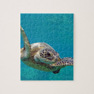 Hawaii Green Zee Turtle - Honu Legpuzzel