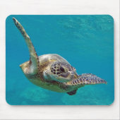Hawaii Green Zee Turtle - Honu Muismat (Voorkant)