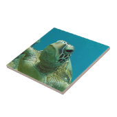 Hawaii Green Zee Turtle - Honu Tegeltje (Zijkant)