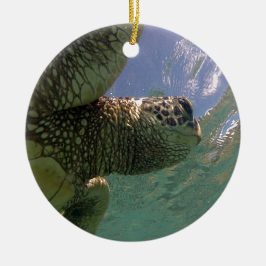 Hawaii Green Zee Turtle Keramisch Ornament (Voorkant)