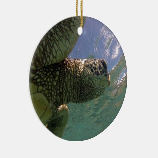 Hawaii Green Zee Turtle Keramisch Ornament (Rechts)