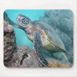 Hawaii Green Zee Turtle Muismat