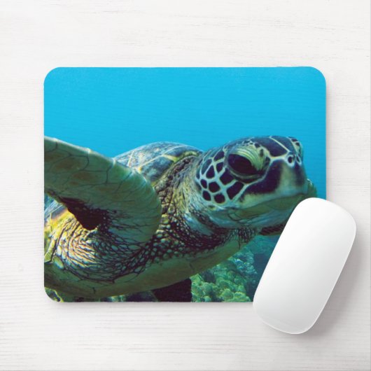 Hawaii Green Zee Turtle Muismat (Met muis)