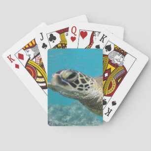 Hawaii Green Zee Turtle Pokerkaarten