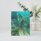 Hawaii Green Zee Turtles Briefkaart (Staand voorkant)