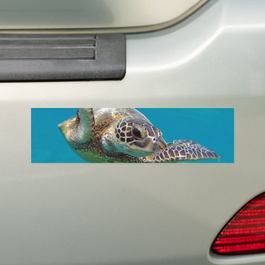 Hawaii Groene Zeeen Schildpad - Honu Bumpersticker (Op auto)